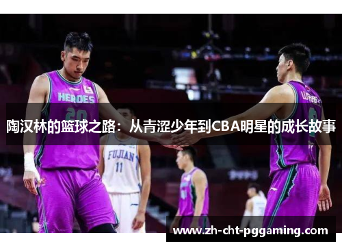 陶汉林的篮球之路:从青涩少年到CBA明星的成长故事